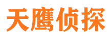 雷波寻人公司